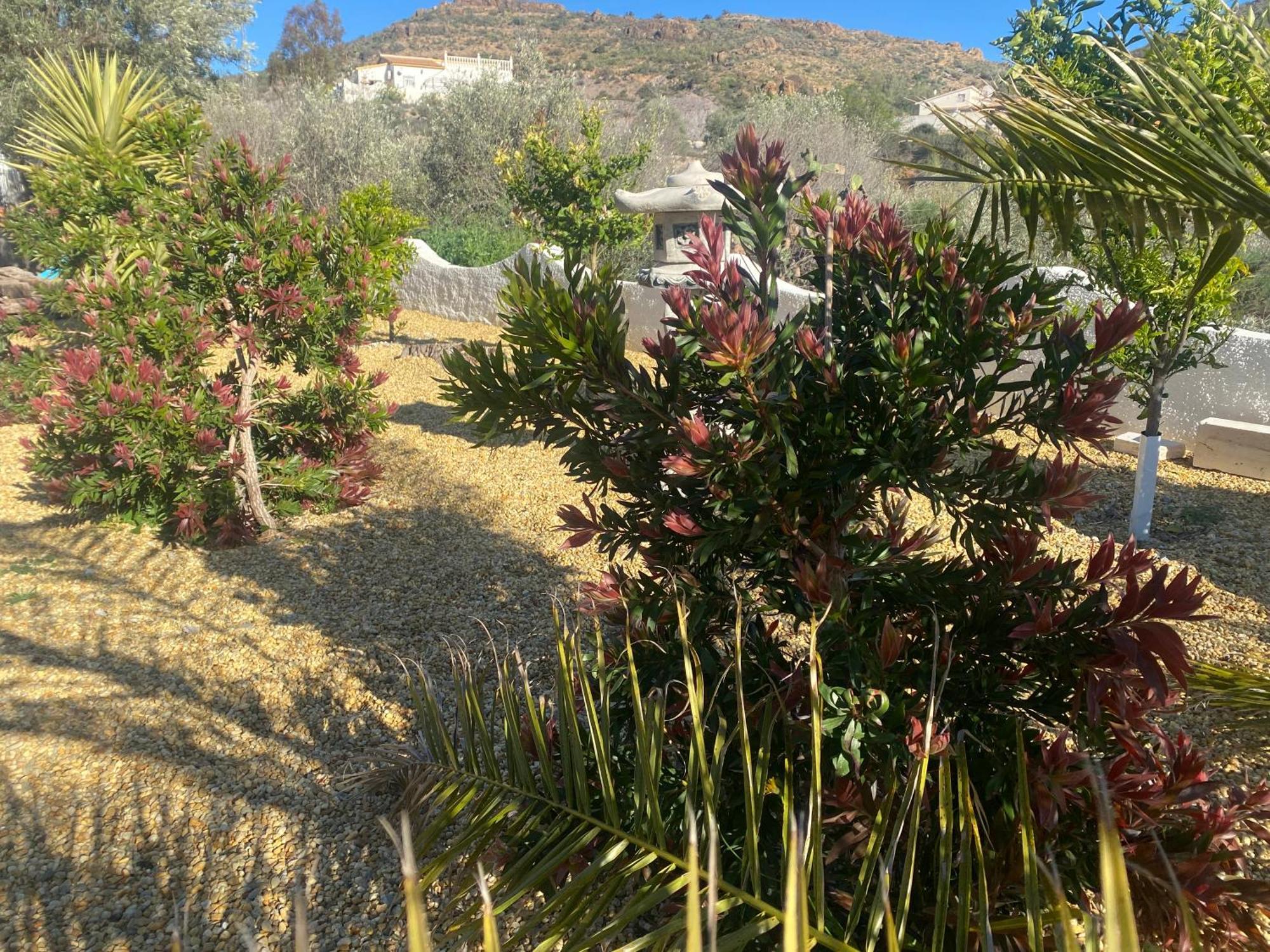 Cortijo Los Corazones Cantoria 외부 사진